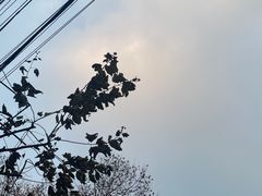 -TCROSS交茶点(襄阳南路店)