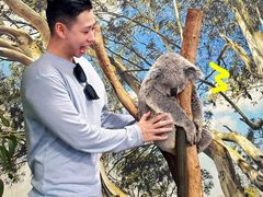 -费瑟代尔野生动物园