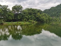-石台牯牛降景区