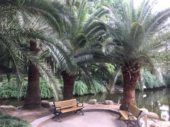 -苏州河梦清园环保主题公园