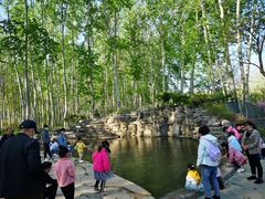-仁和公园(顺义区)