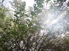-山东大学(趵突泉校区)
