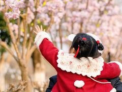 -武汉紫薇都市田园