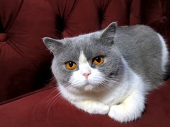 -暗楼·剧本杀·桌游