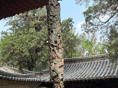 -建水文庙
