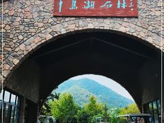 -千岛湖石林