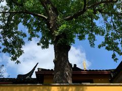 -白马涧龙池景区