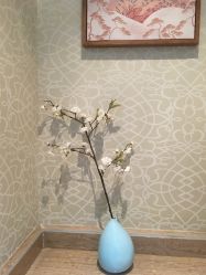 -JNK皮肤管理中心