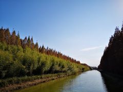 -黄海国家森林公园