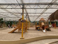 游乐设施-南宫五洲植物乐园