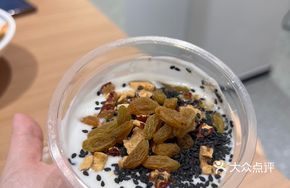 Honey Walnut Yogurt