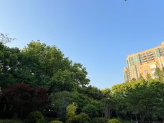 -徐家汇源景区-衡山公园