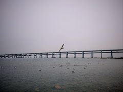 -黑石礁公园