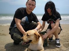 -北戴河东海水浴场