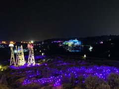 -大塘金香草谷