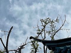 -无锡梅园公园