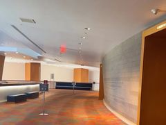 -华特·迪士尼音乐厅