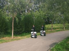 -东郊湿地公园