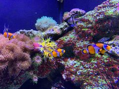 -成都浩海立方海洋公园