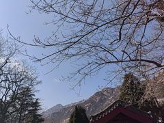 -青岛崂山太清宫