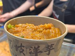 -周小亮丁家坡洋芋(全国总店)