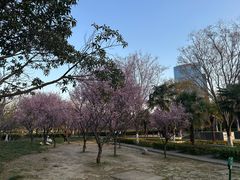 -白塘生态植物园