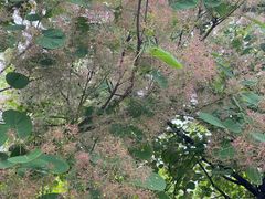 -青州古城