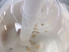 -宝珠奶酪(长宁金虹桥店)