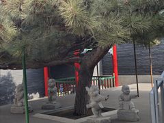 -长安寺