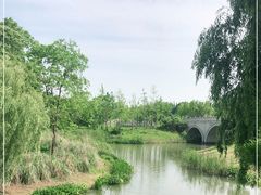 -贡湖湾湿地公园