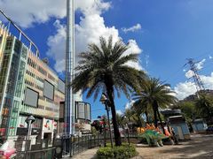 -大信·云顶星河游乐王国