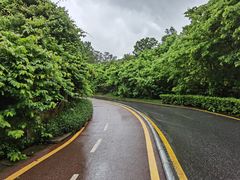 -梧桐山风景名胜区