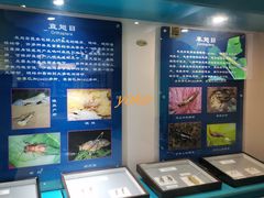 -上海昆虫博物馆