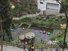 -南山植物园