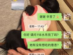 -申普宠物医院·心脏介入·心血管微创(总院)