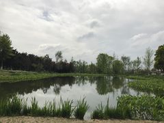 -白鹭湾湿地公园