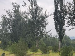 -西部长青自然儿童乐园