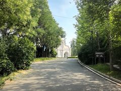 -观澜小洱海
