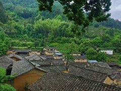 -杨家堂村