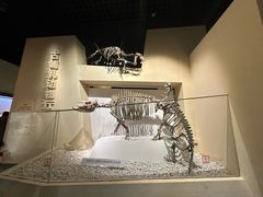 -国家自然博物馆