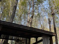 -林间山庄