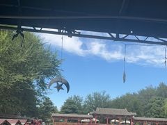 -尚庄度假村·庭台树下·户外烧烤·团建CS·轰趴营地(上庄水库店)