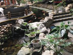 -顺景温泉