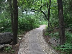 -阳台山自然风景区