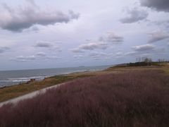 -那香海钻石沙滩浴场