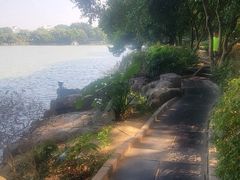 -桂林市榕杉湖景区
