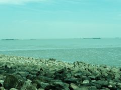 -上海吴淞炮台湾国家湿地公园