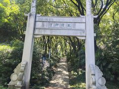 -苏州上方山国家森林公园