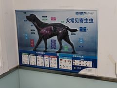 -达爱动物医院·犬猫分区·CT·复杂眼科(远洋山水分院)