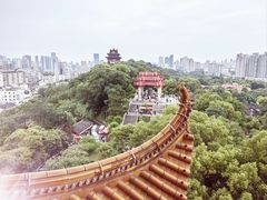 -黄鹤楼公园(黄鹤楼)